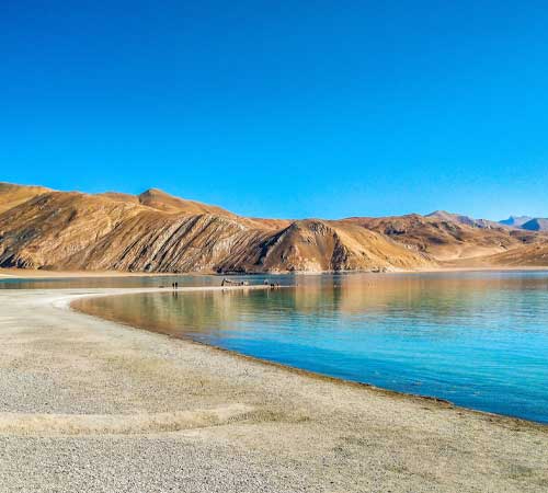 Leh 03 N + 02 Nubra + Pangong 01 N | Tour Package